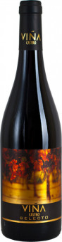 Вино красное сухое "Vina Castro" Selecto 0.75L